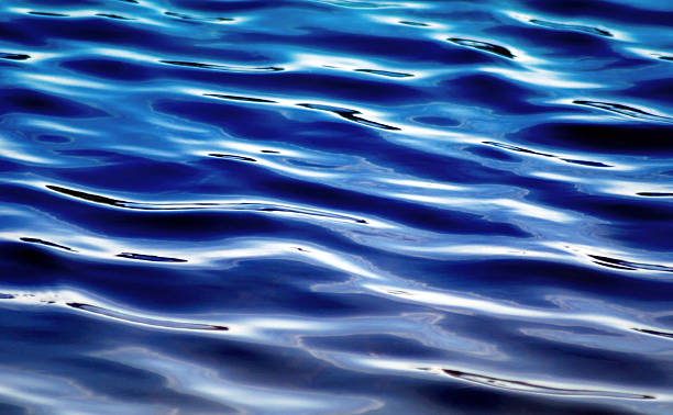 istock Soft ripples moving along surface of deep blue waters 503413466