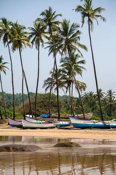 istock Beach in Anjuna, Goa, India 503417764