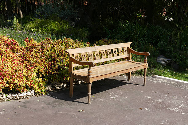 istock wooden bench in the park 503418018
