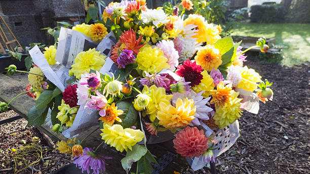 istock autumn flower garden bouquet 503420904