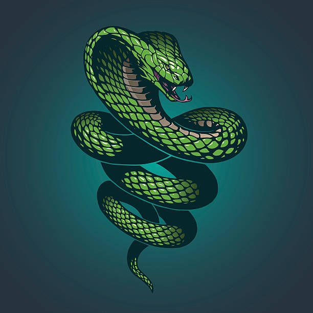 ilustraciones, imágenes clip art, dibujos animados e iconos de stock de serpiente medio - viper