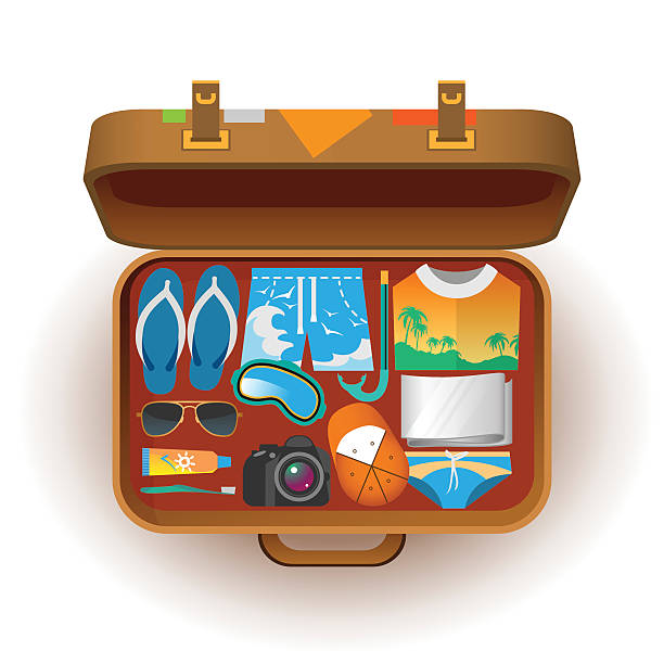ilustrações de stock, clip art, desenhos animados e ícones de mala para viagens - sunglasses luggage vector hat