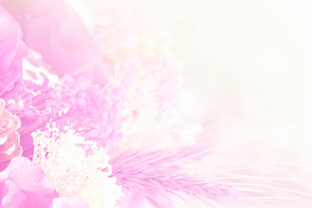 Pink and white flowers in a vase.