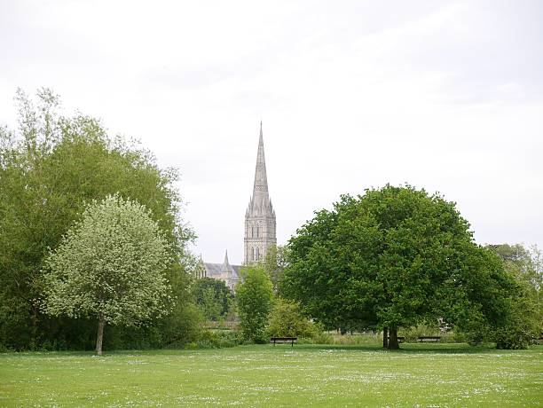 istock glimpse of Salisbury Cathedral through trees at Harnham 503425138