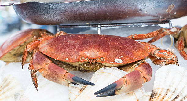 istock the crab on seafood platter. 503428814