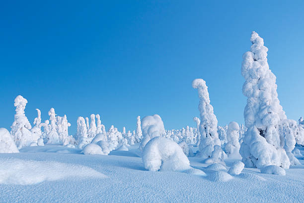 istock Lapland Winter Landscape 503433229