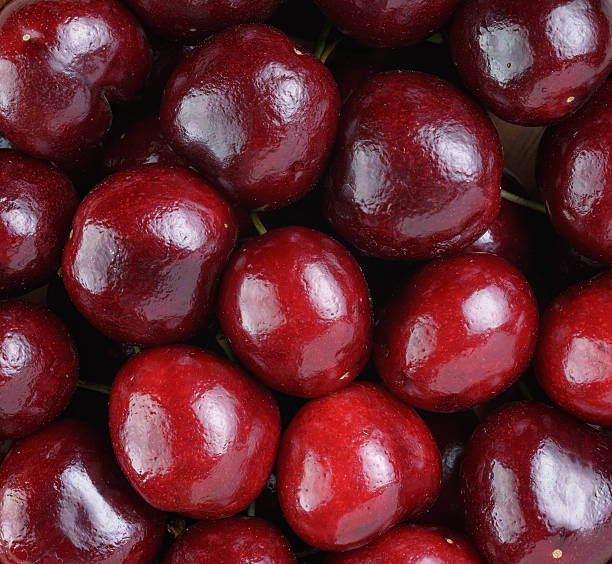 istock ripe cherries close up 503433699