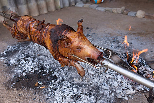 am spieß gebratene schwein - pig roasted spit roasted domestic pig stock-fotos und bilder