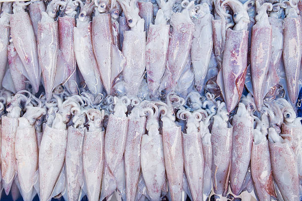 istock Fresh squid at fish market 503436393