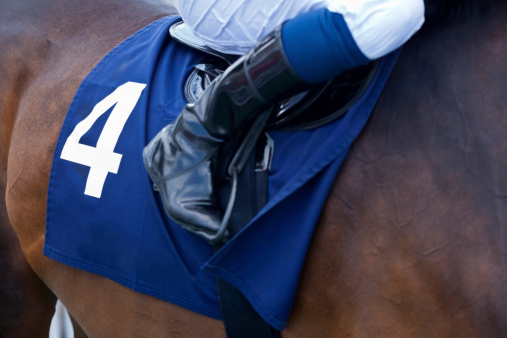 The unity of thoroughbred horse and jockey on the way down to the start at the racecourse. Close up of jockey’s riding boot, saddle and number 4 saddle cloth on a bay thoroughbred racehorse.