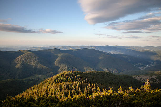 istock Summer day in Carpathian mountains 503437193