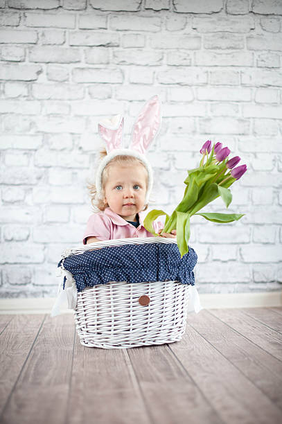 istock Adorable baby bunny 503437703