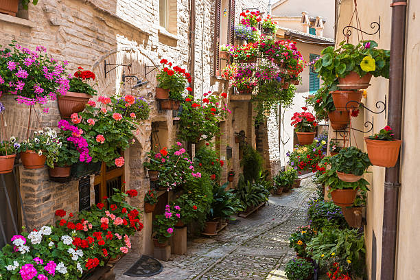 istock Alley with Flowers, Spello 503441181