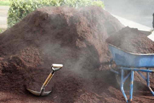 Just delivered steaming smoldering hemlock bark dust in a driveway with a wheelbarrow and shovel.