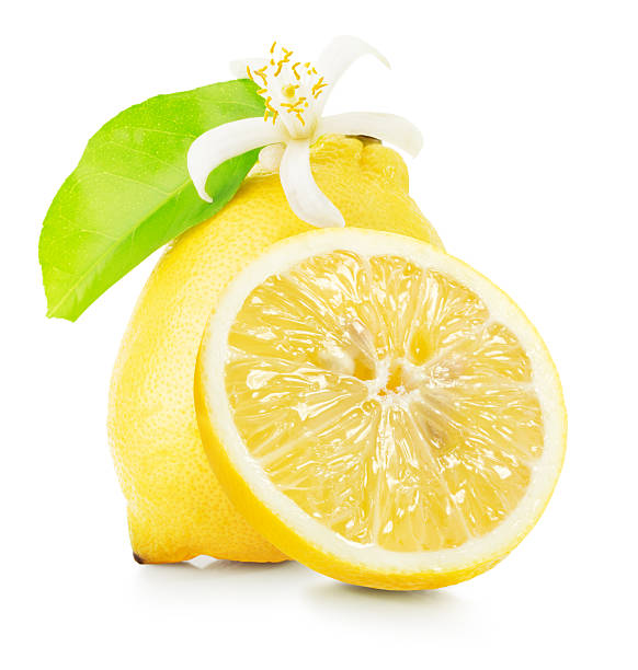 istock lemons with lemon flowers isolated on the white background 503454902