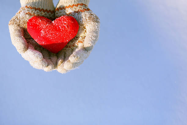 istock Close-up of hands holding a red heart shape 503456782