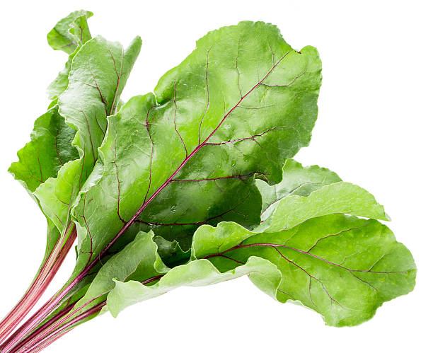 istock beet leaves isolated on the white background 503456800