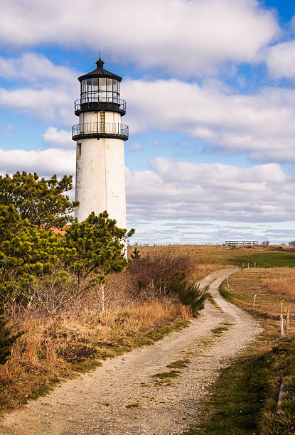 istock Roadway Past the Lighthouse 503457214