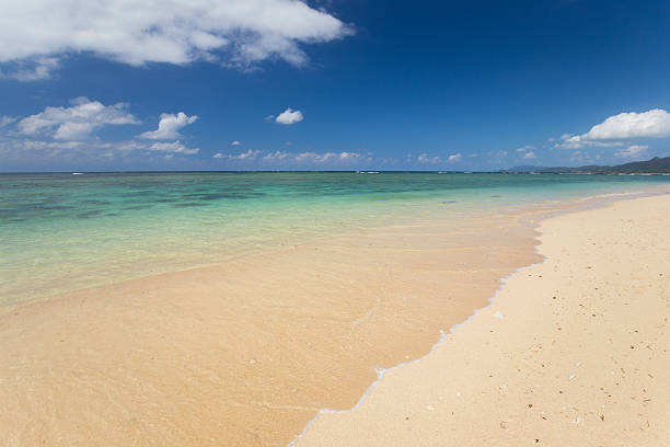 istock Beach (Ishigaki Yonehara Coast in Japan 503457564