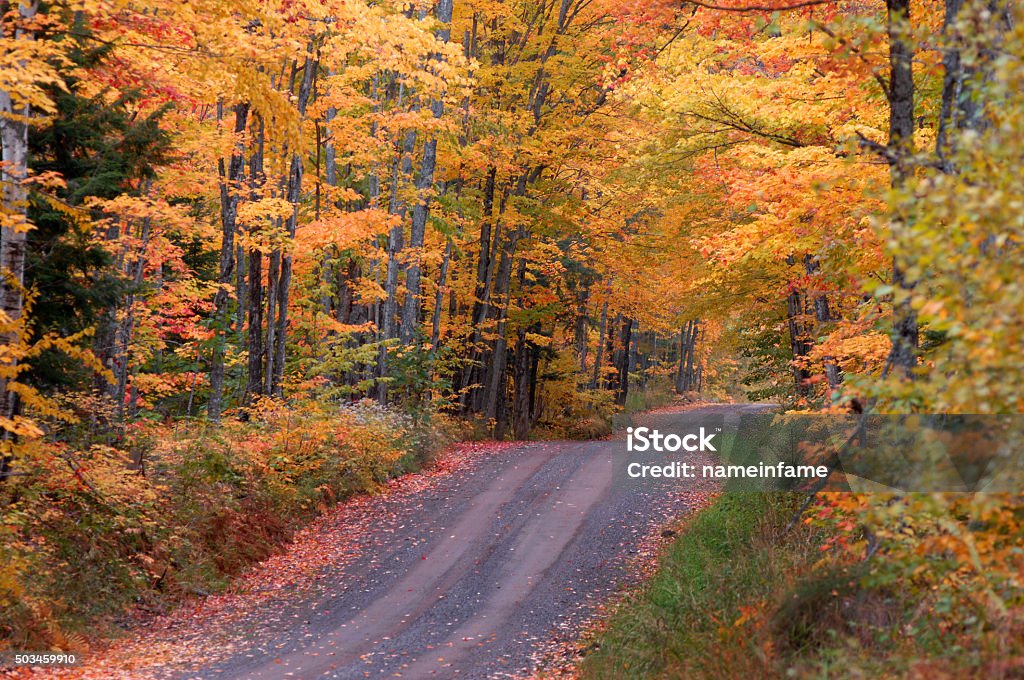 Autumn on Tunnel Road "Tunnel Road" above Houghton, Michigan dips and twists between hardwoods turning red, orange and gold as Autumn hits the Upper Peninsula. Tree Stock Photo