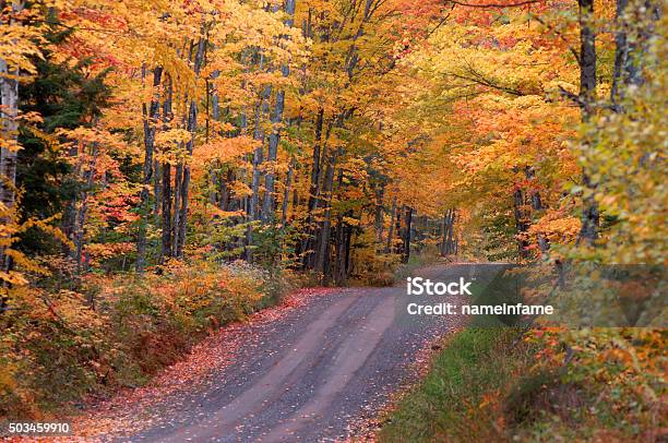 Autumn On Tunnel Road Stock Photo - Download Image Now - Tree, Michigan, Tunnel