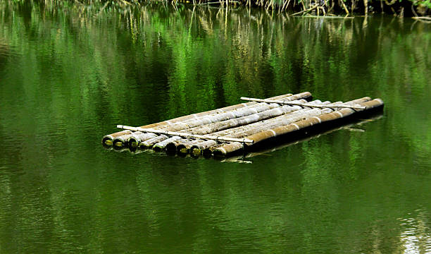 istock wood bamboo boat on water 503460386