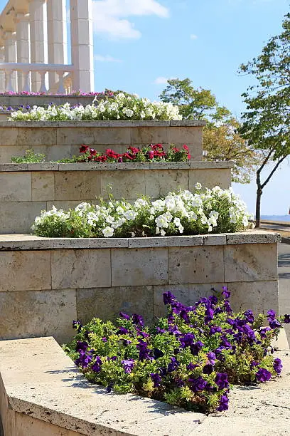 Photo of Multilevel flowerbed on a street