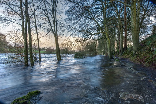 A path along the side of the river Shannon, submerged in the winter floors