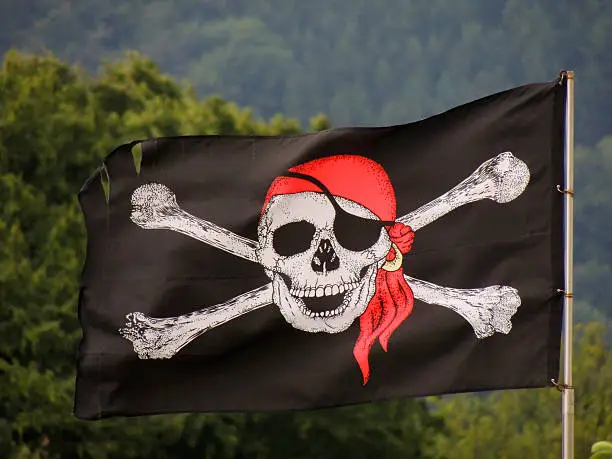 Photo of Pirate flag