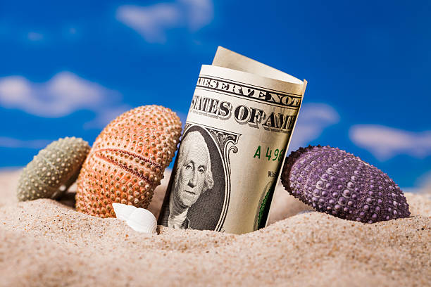 istock Sea  shells  and dollar money on the beach sand 503464884