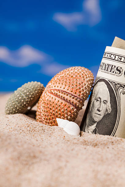 istock Sea  shells  and dollar money on the beach sand 503464916