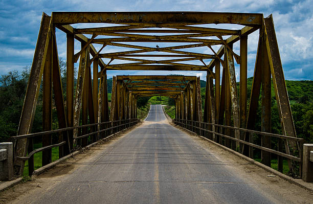 istock Steel bridge over San Rafael river 503465042