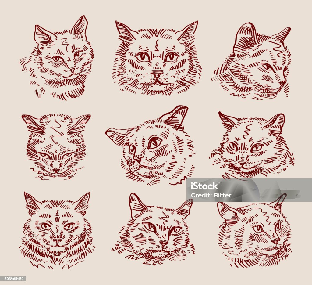 Sketch Vector Hand Drawn Sketch Set Cats Vector Illustration Stock Illustration ...