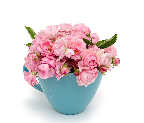 blue cup full of small pink roses over white