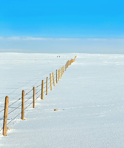 istock Fence line going a long distance in field of snow 503467510