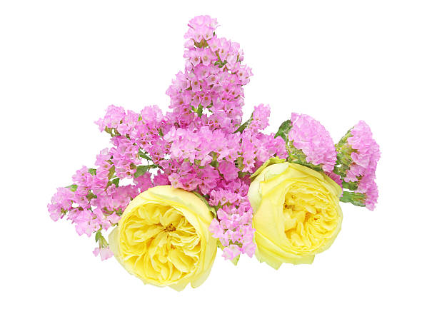 istock Bouquet of roses and limonium 503467778