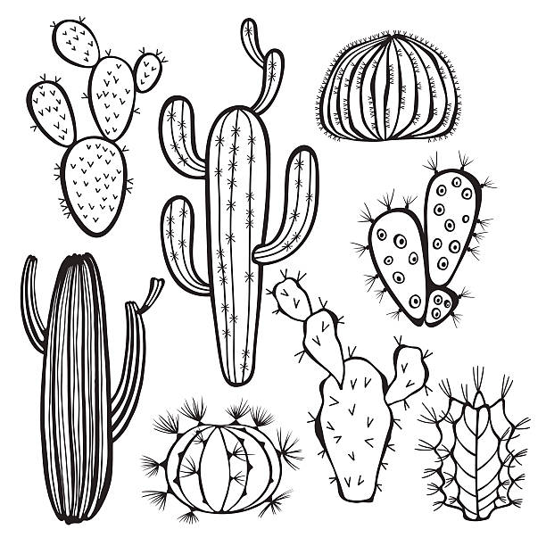 1,400+ Black And White Cactus Illustrations, RoyaltyFree Vector