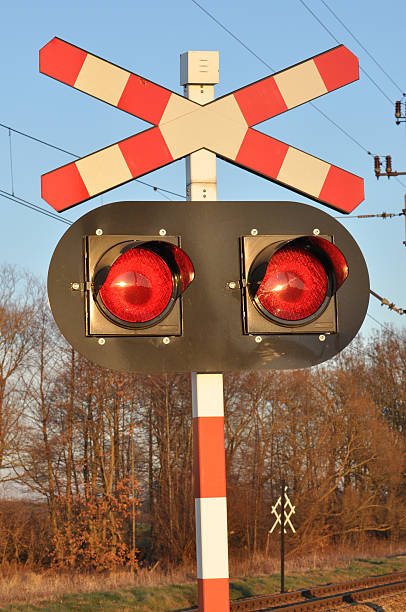 istock Cross of St. Andrew 503483468