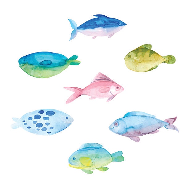 Watercolor fishes on a white background. Watercolor fishes vector collection on white background. Vector set, cartoon illustration, isolated elements for design. fish drawings stock illustrations