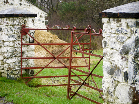 A traditional Irish countryside scene with open, red farmyard gates.