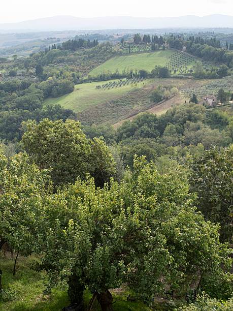istock Tuscan countryside in Italy 503486842