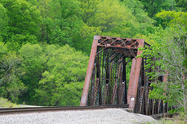 istock Old railroad tressel surrounded by green forest. 503487482