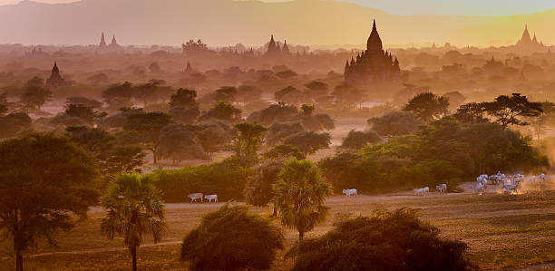 Bagan sunset, Myanmar stock photo