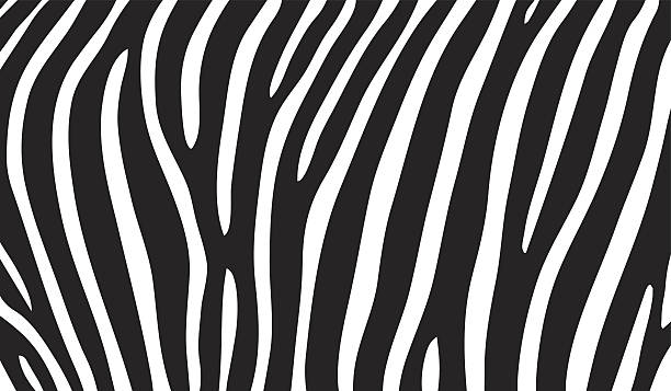 zebra stripes zebra pattern vector illustration zebra print stock illustrations