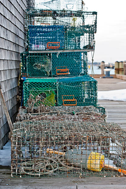 istock Lobster Traps in winter 503488498