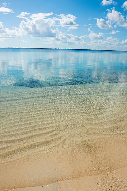 Beach at Bay of Pigs, Cuba A beach on the east side of the Bay of Pigs, Cuba. The bay, called Bahía de Cochinos in Spanish, was the site of the ill-fated, U.S.-backed Bay of Pigs invasion in April 1961. bay of pigs invasion stock pictures, royalty-free photos & images