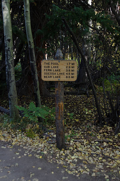 istock Sign to Odessa and Bear Lakes 503488866