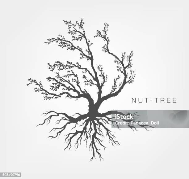 Tree On A White Background With Leaves Stock Illustration - Download Image Now - Root, Tree, Vector