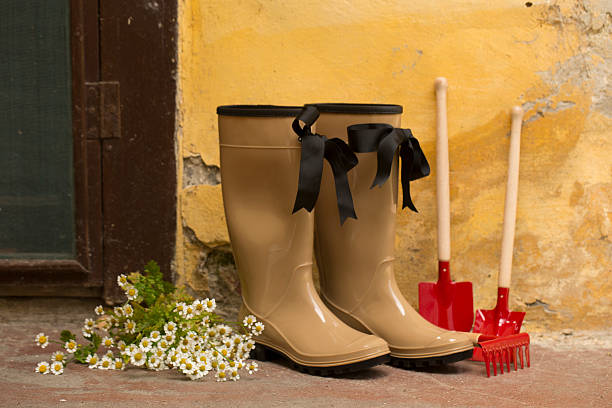 istock garden still life 503491631