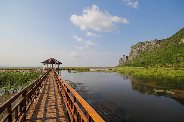 istock Mountain view from Wooden Bridge at Khao sam roi yod 503492836